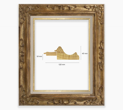 Baroque frame with antique gold leaf COR739230135
